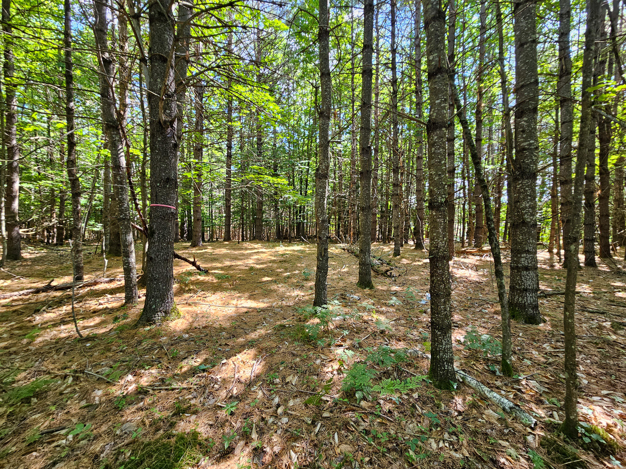 11-31-C Stone Hill Road Farmington ME 04938