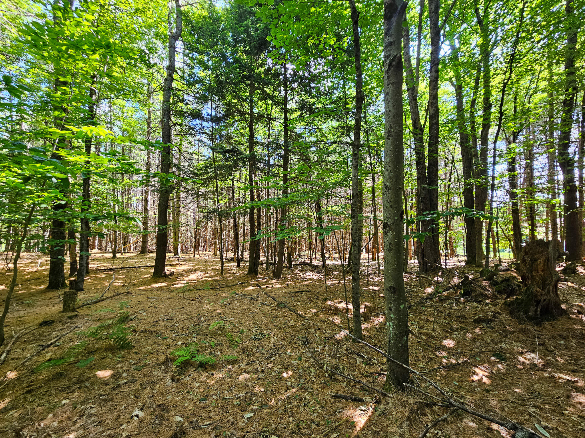 11-31-C Stone Hill Road Farmington ME 04938