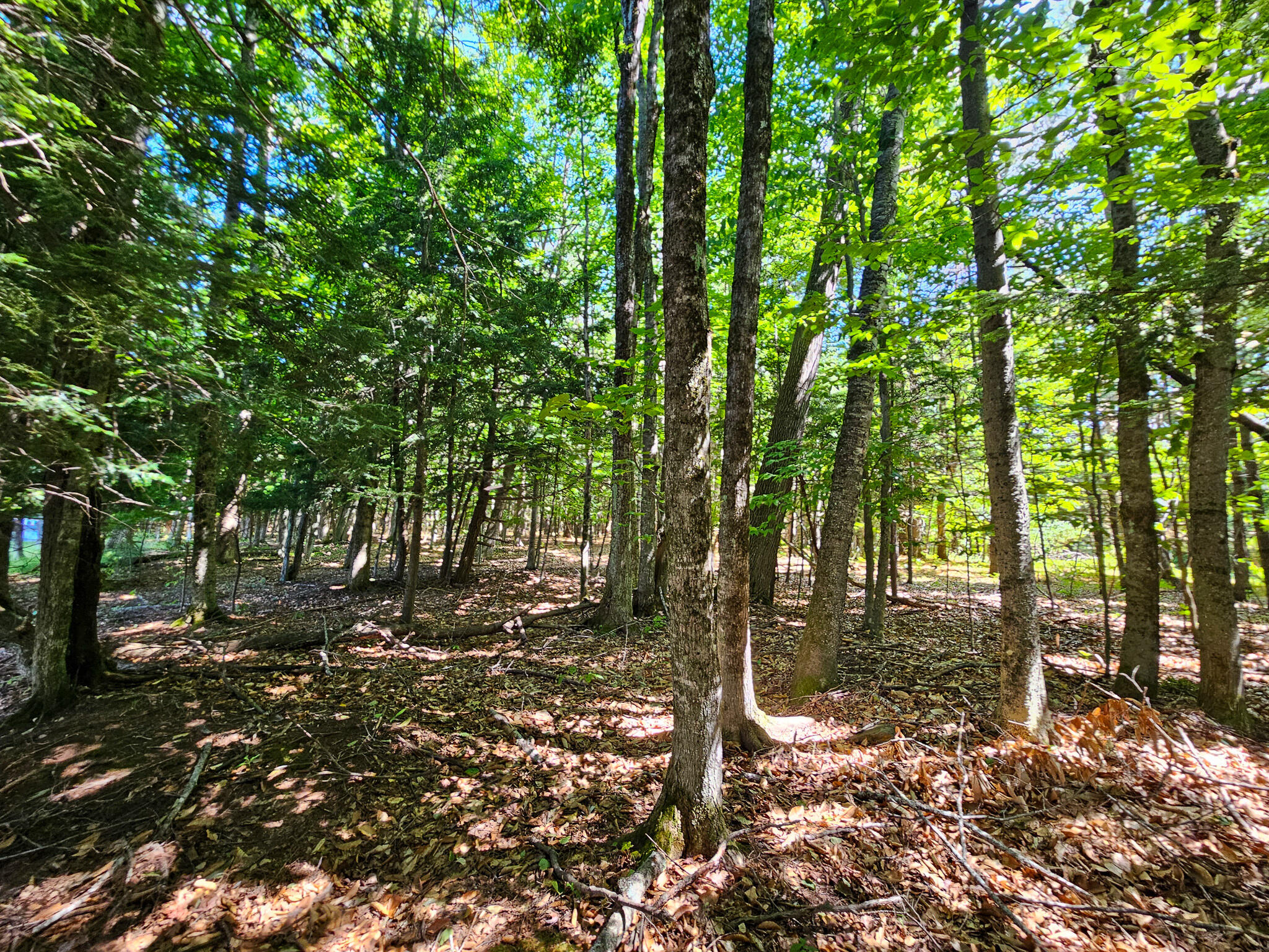 11-31-C Stone Hill Road Farmington ME 04938