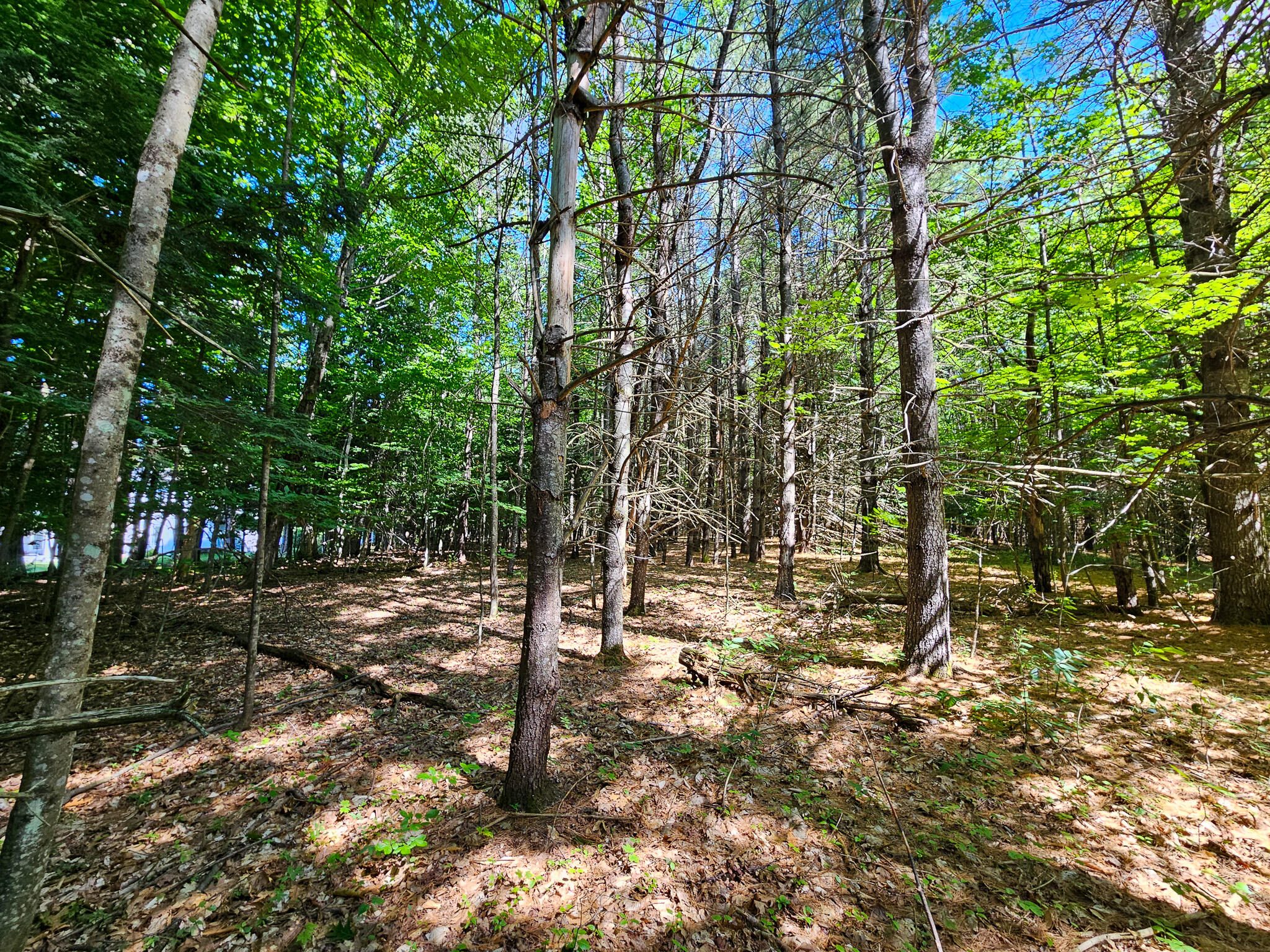 11-31-C Stone Hill Road Farmington ME 04938