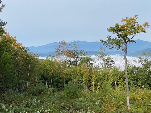105 Mine Road Stoneham ME 04231