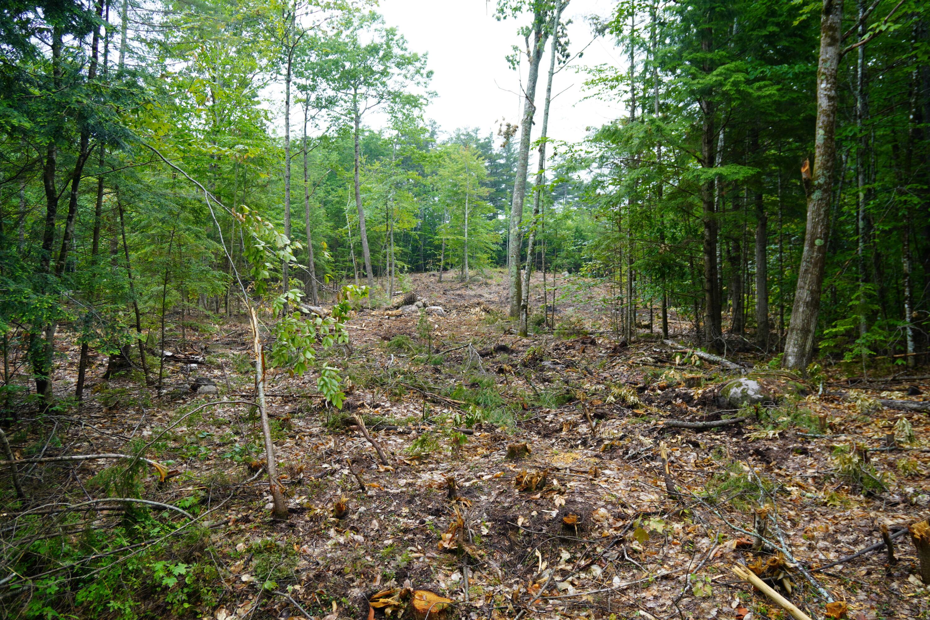 89 Chapman Road Harrison ME 04040