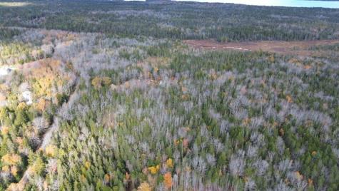 M51 L8 Grand Marsh Bay Road Gouldsboro ME 04624