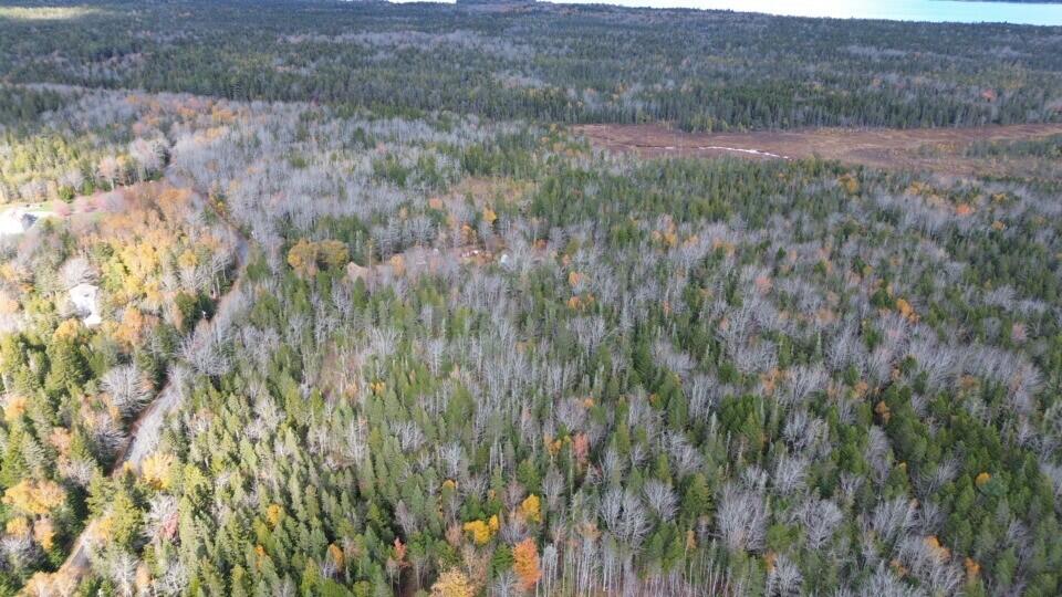 M51 L8 Grand Marsh Bay Road Gouldsboro ME 04624