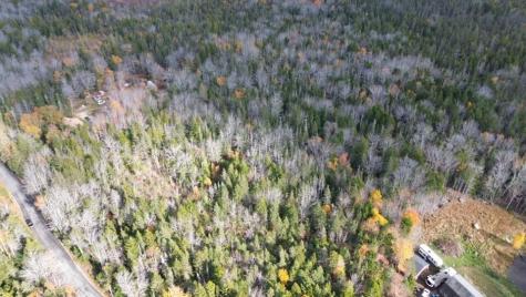 M51 L8 Grand Marsh Bay Road Gouldsboro ME 04624