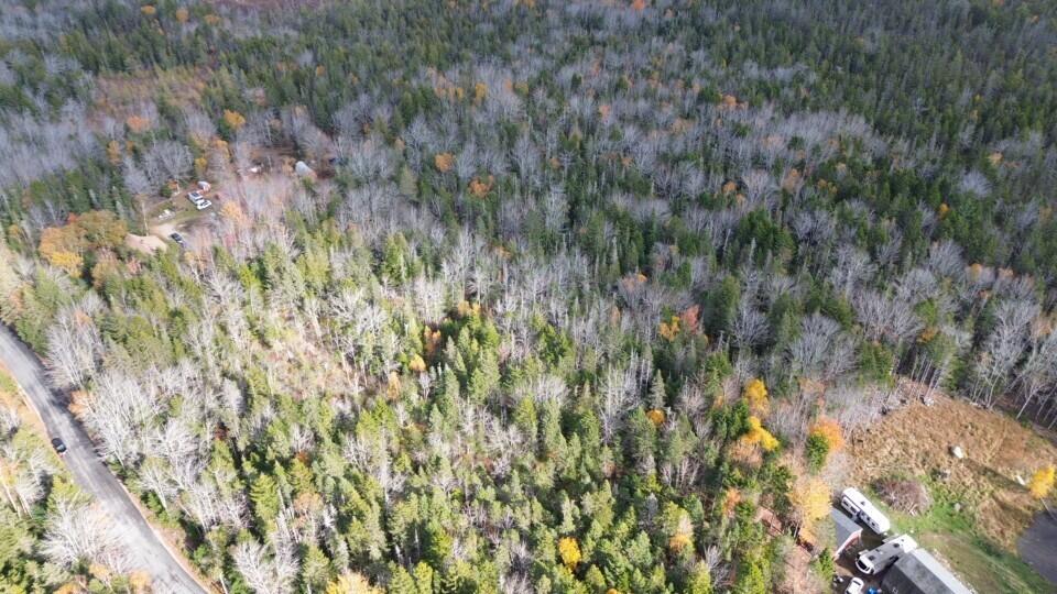 M51 L8 Grand Marsh Bay Road Gouldsboro ME 04624