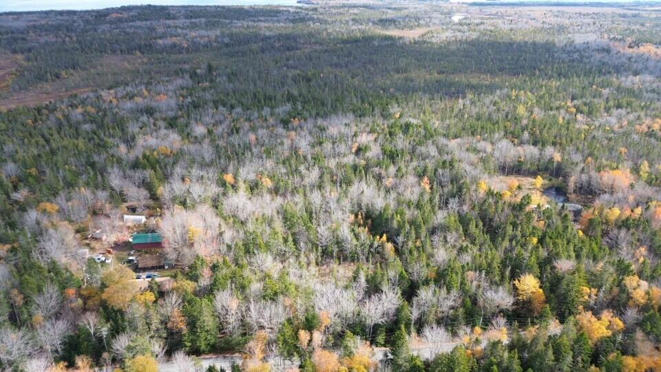 M51 L8 Grand Marsh Bay Road Gouldsboro ME 04624