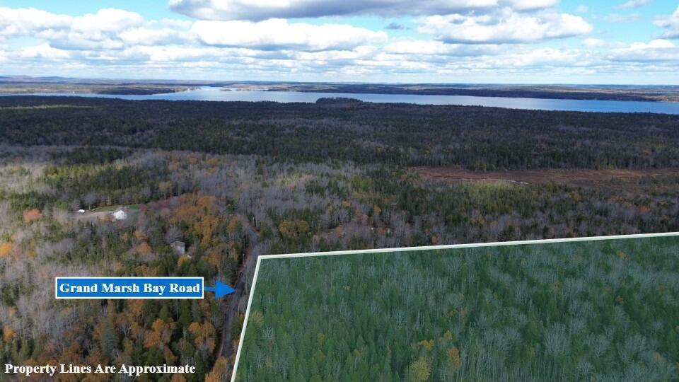 M51 L8 Grand Marsh Bay Road Gouldsboro ME 04624