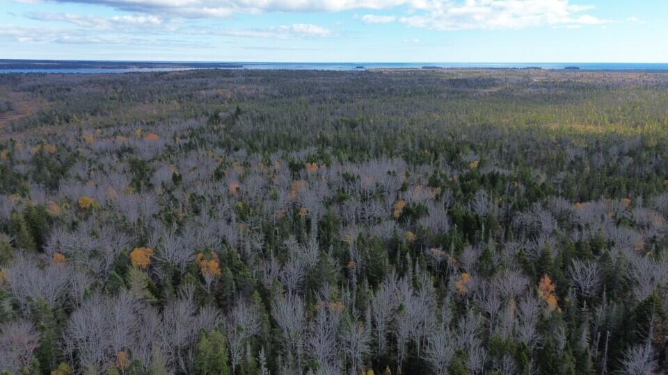 M51 L8 Grand Marsh Bay Road Gouldsboro ME 04624