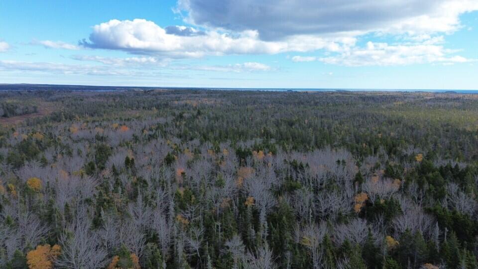 M51 L8 Grand Marsh Bay Road Gouldsboro ME 04624