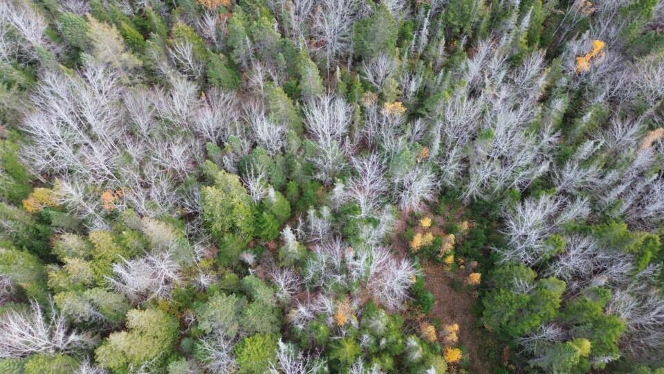 M51 L8 Grand Marsh Bay Road Gouldsboro ME 04624