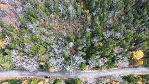 M51 L8 Grand Marsh Bay Road Gouldsboro ME 04624