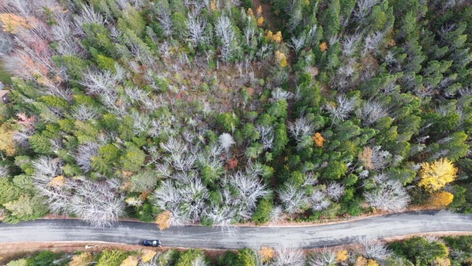 M51 L8 Grand Marsh Bay Road Gouldsboro ME 04624