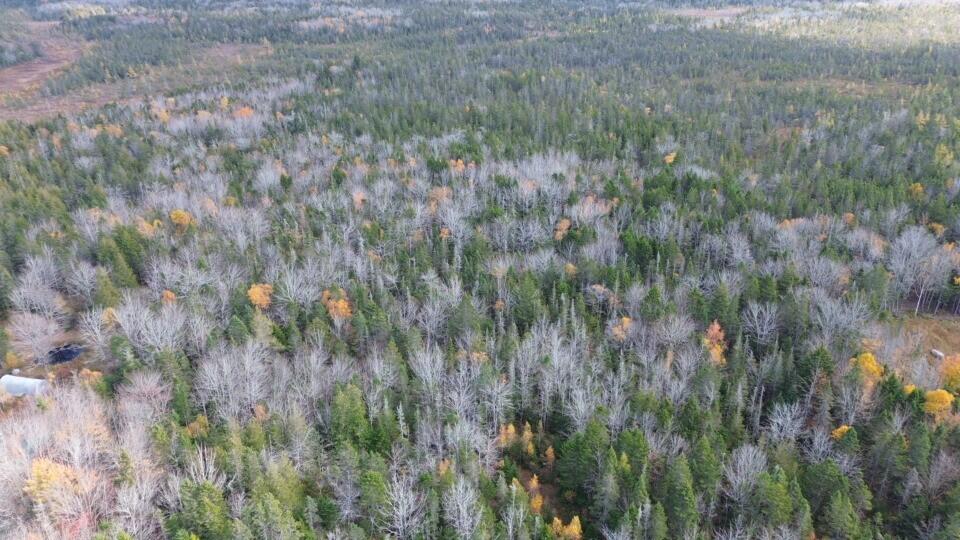 M51 L8 Grand Marsh Bay Road Gouldsboro ME 04624