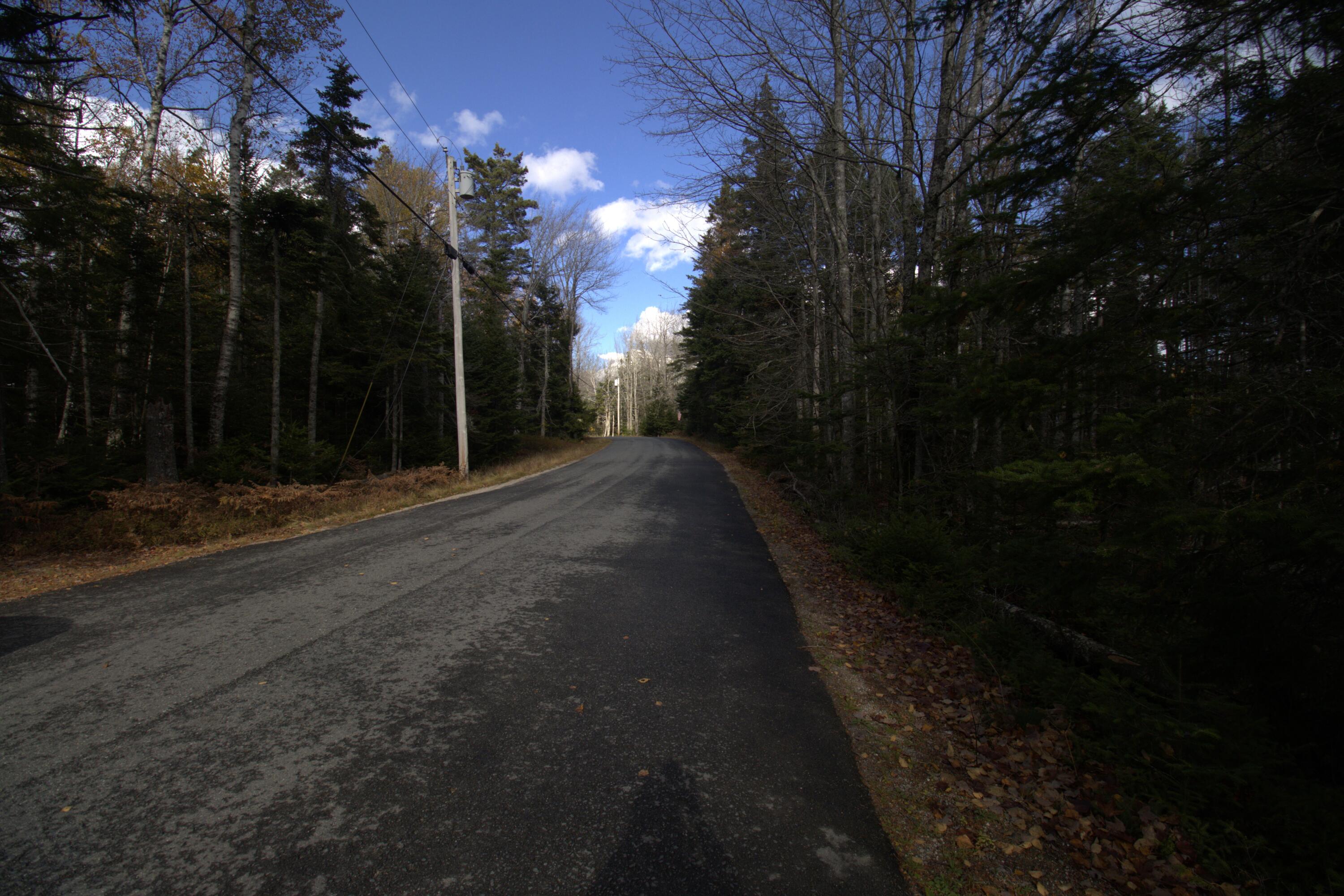 M51 L8 Grand Marsh Bay Road Gouldsboro ME 04624