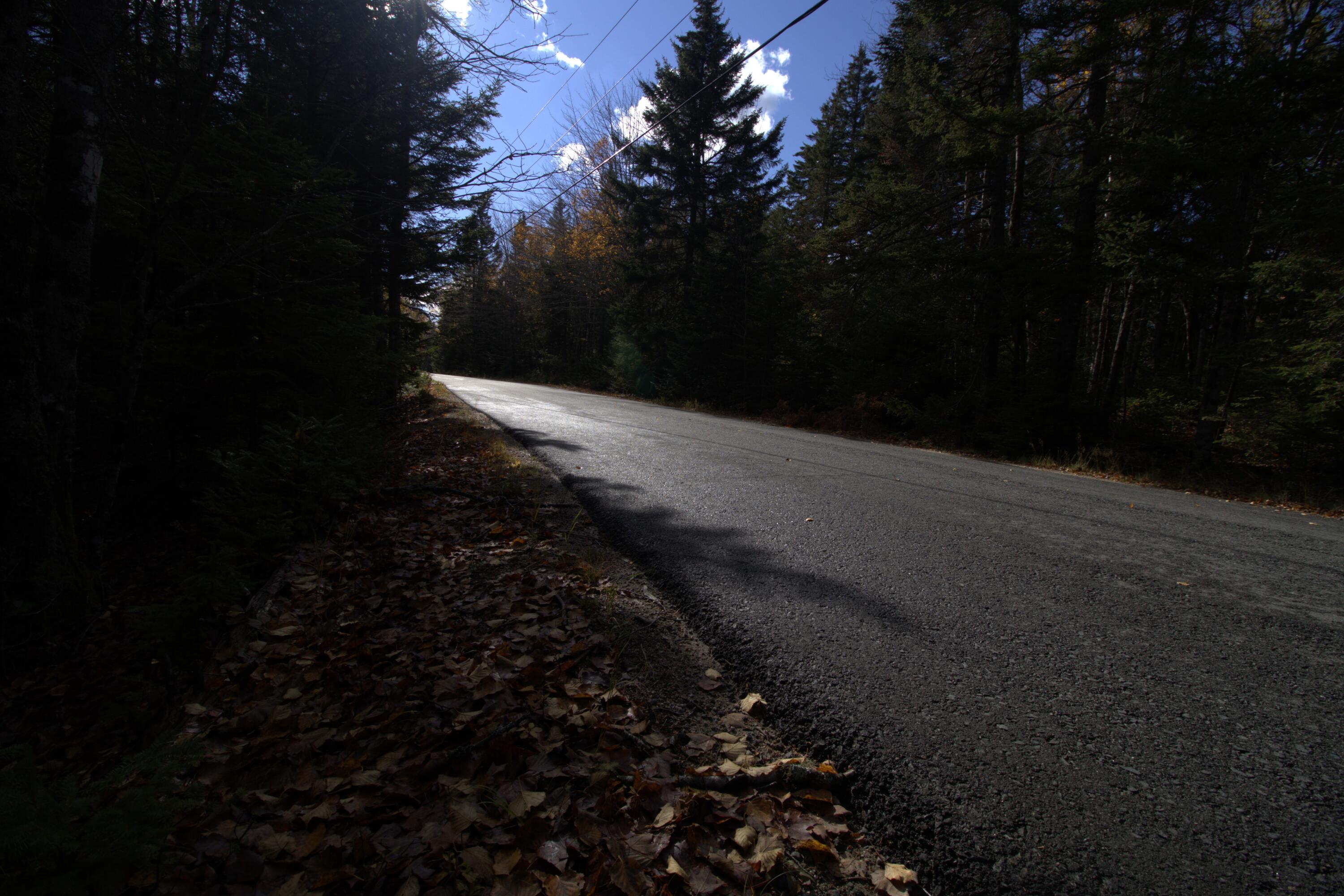 M51 L8 Grand Marsh Bay Road Gouldsboro ME 04624