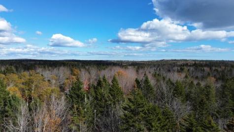 M51 L8 Grand Marsh Bay Road Gouldsboro ME 04624