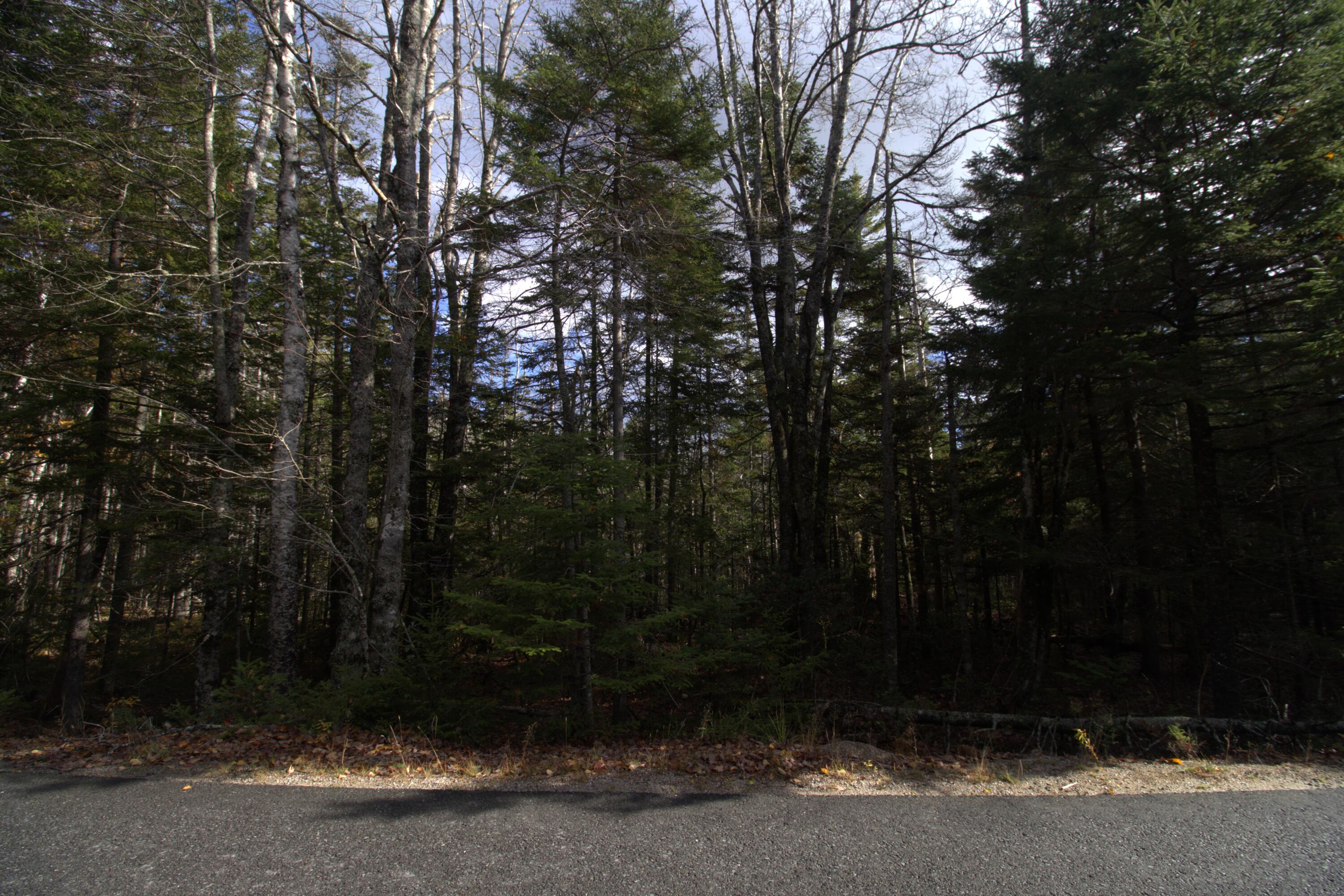 M51 L8 Grand Marsh Bay Road Gouldsboro ME 04624