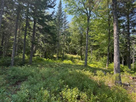 3 Steam Mill Road Robbinston ME 04671