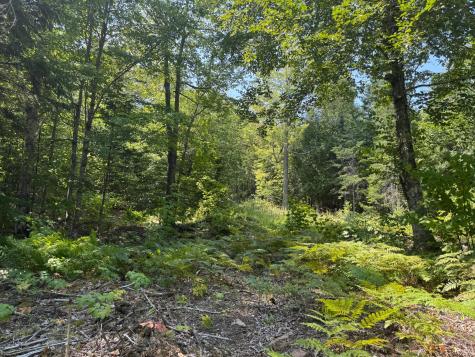 3 Steam Mill Road Robbinston ME 04671