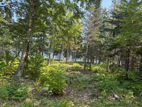 3 Steam Mill Road Robbinston ME 04671