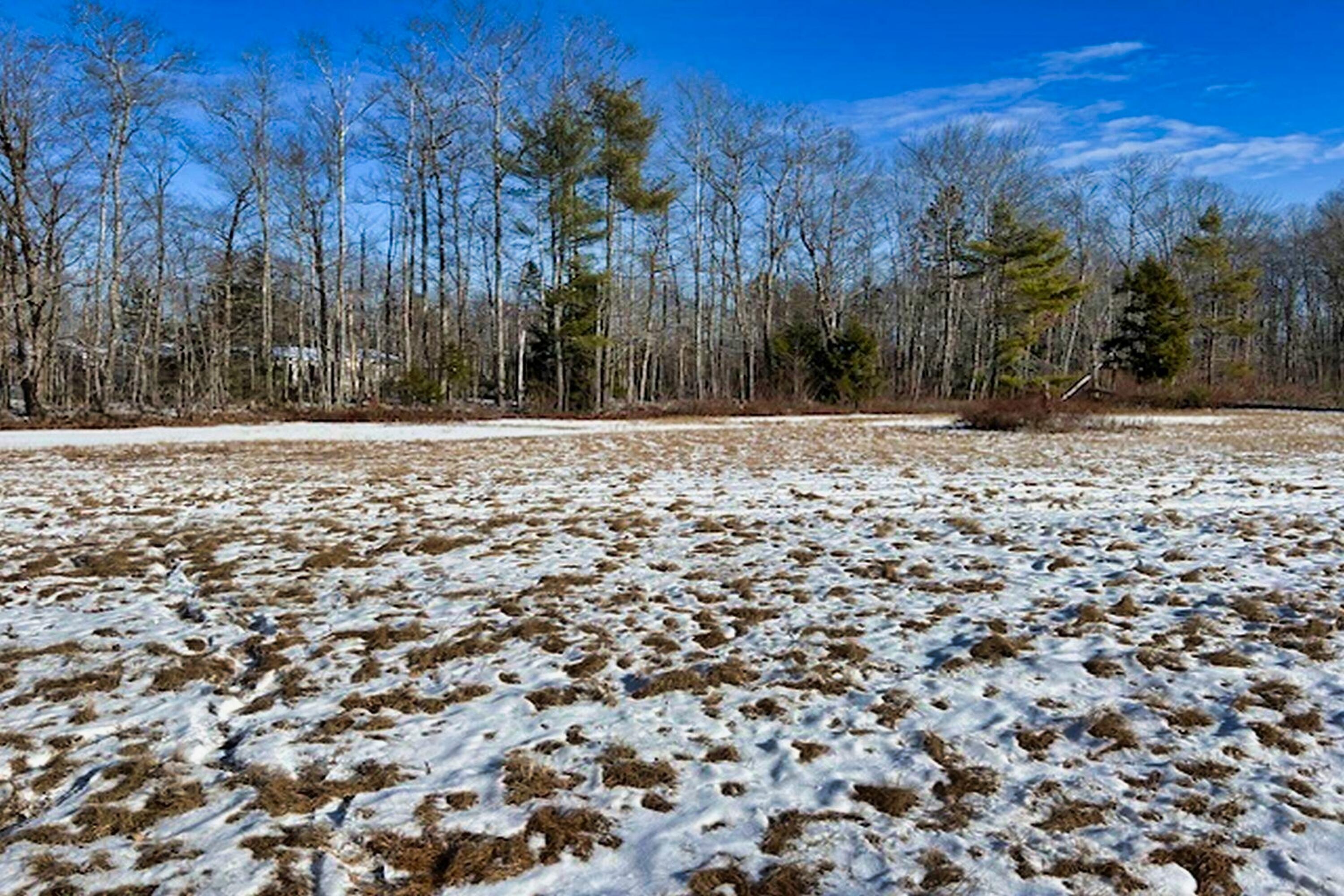 961 Atlantic Highway Waldoboro ME 04572