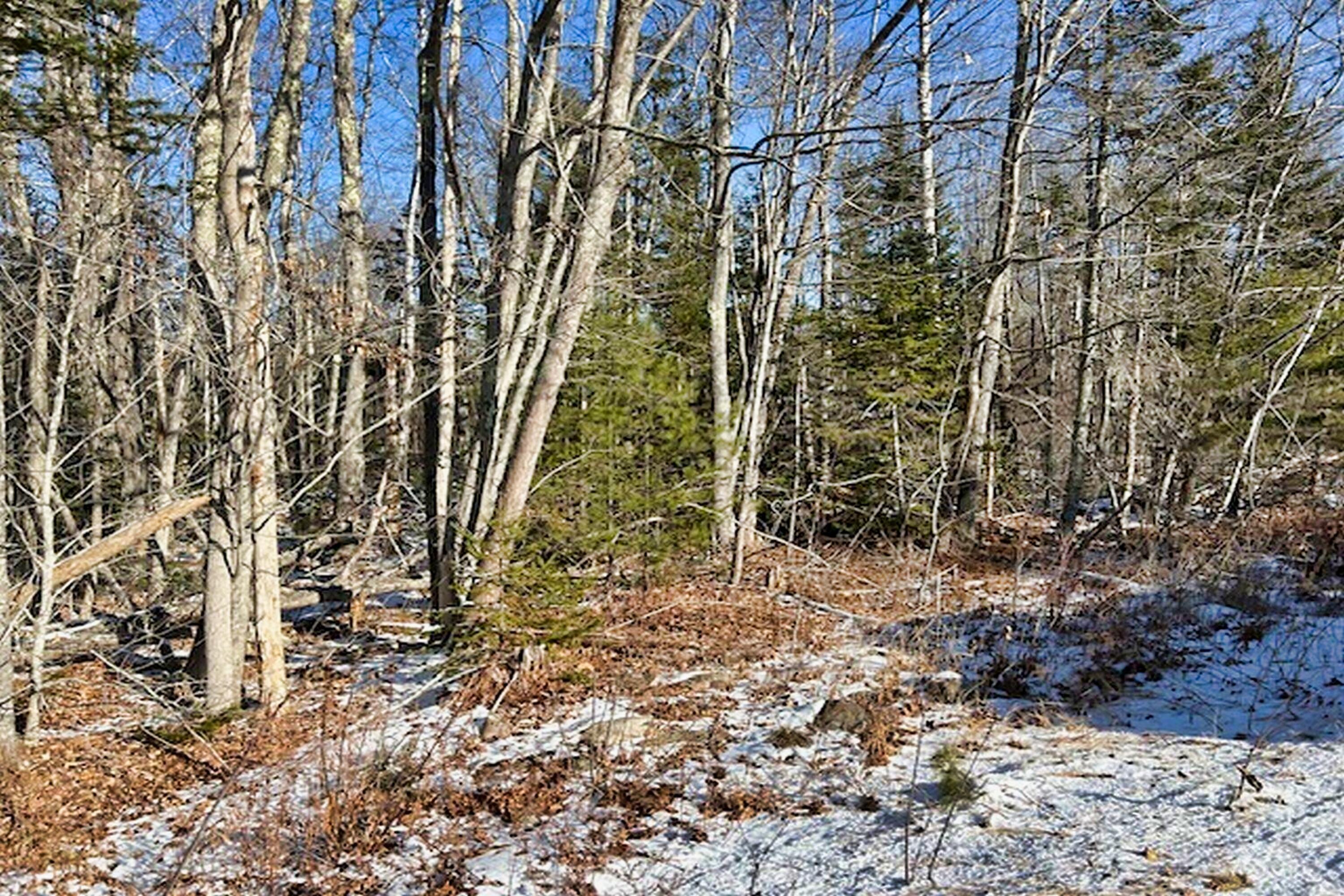 961 Atlantic Highway Waldoboro ME 04572