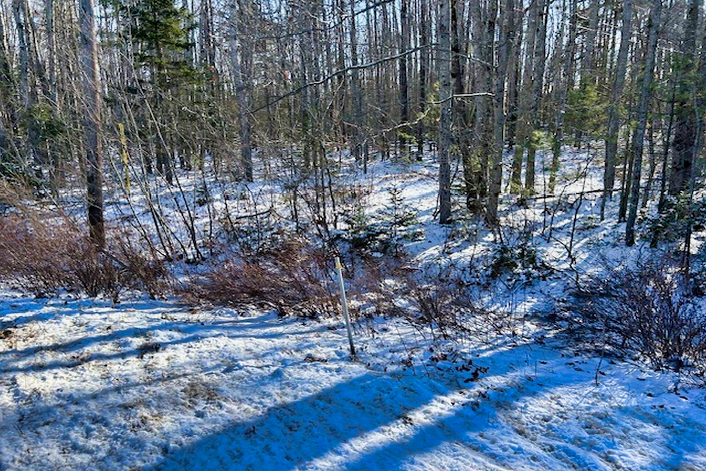 961 Atlantic Highway Waldoboro ME 04572