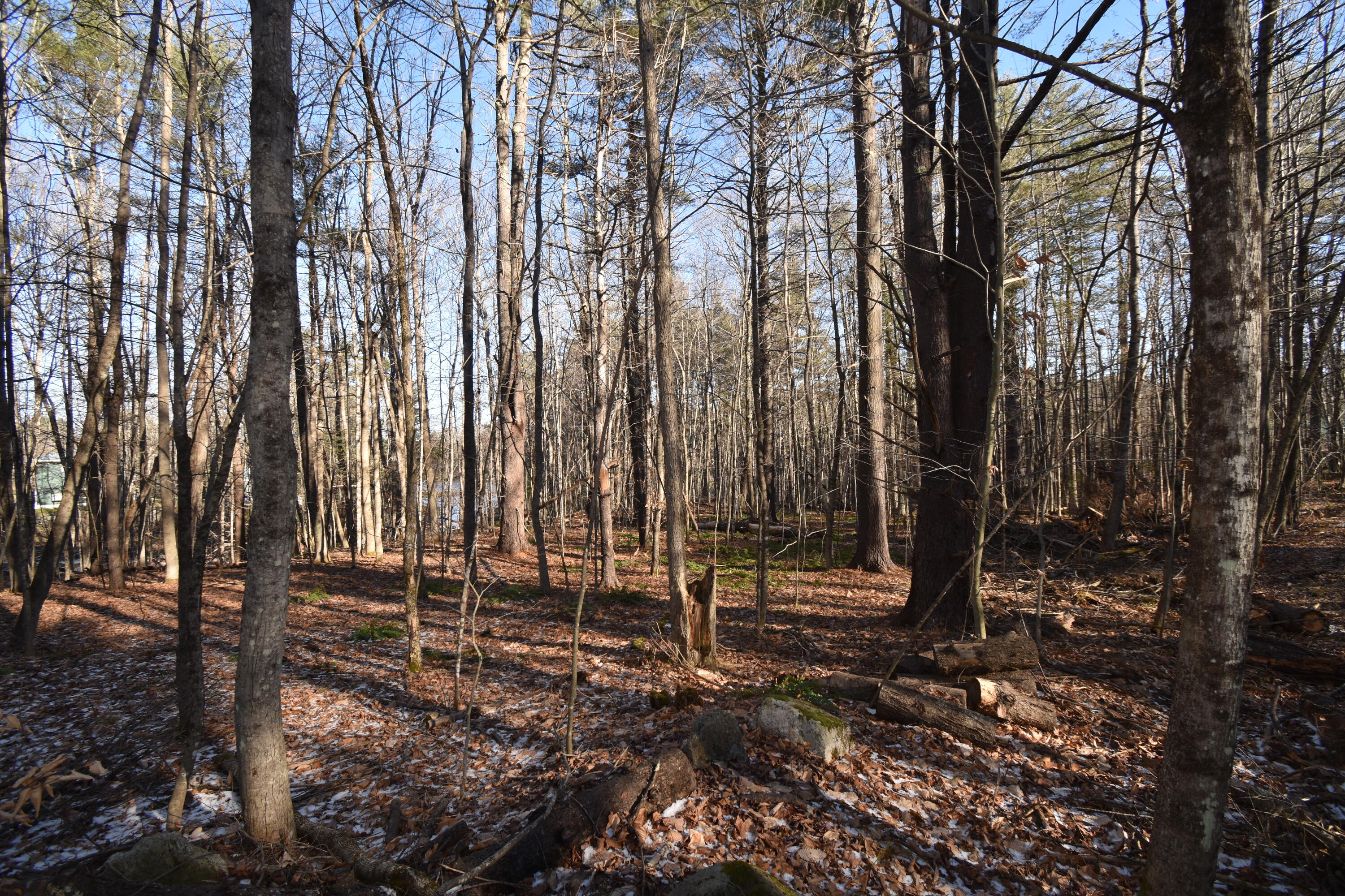 0 Route9-126 Road Litchfield ME 04350