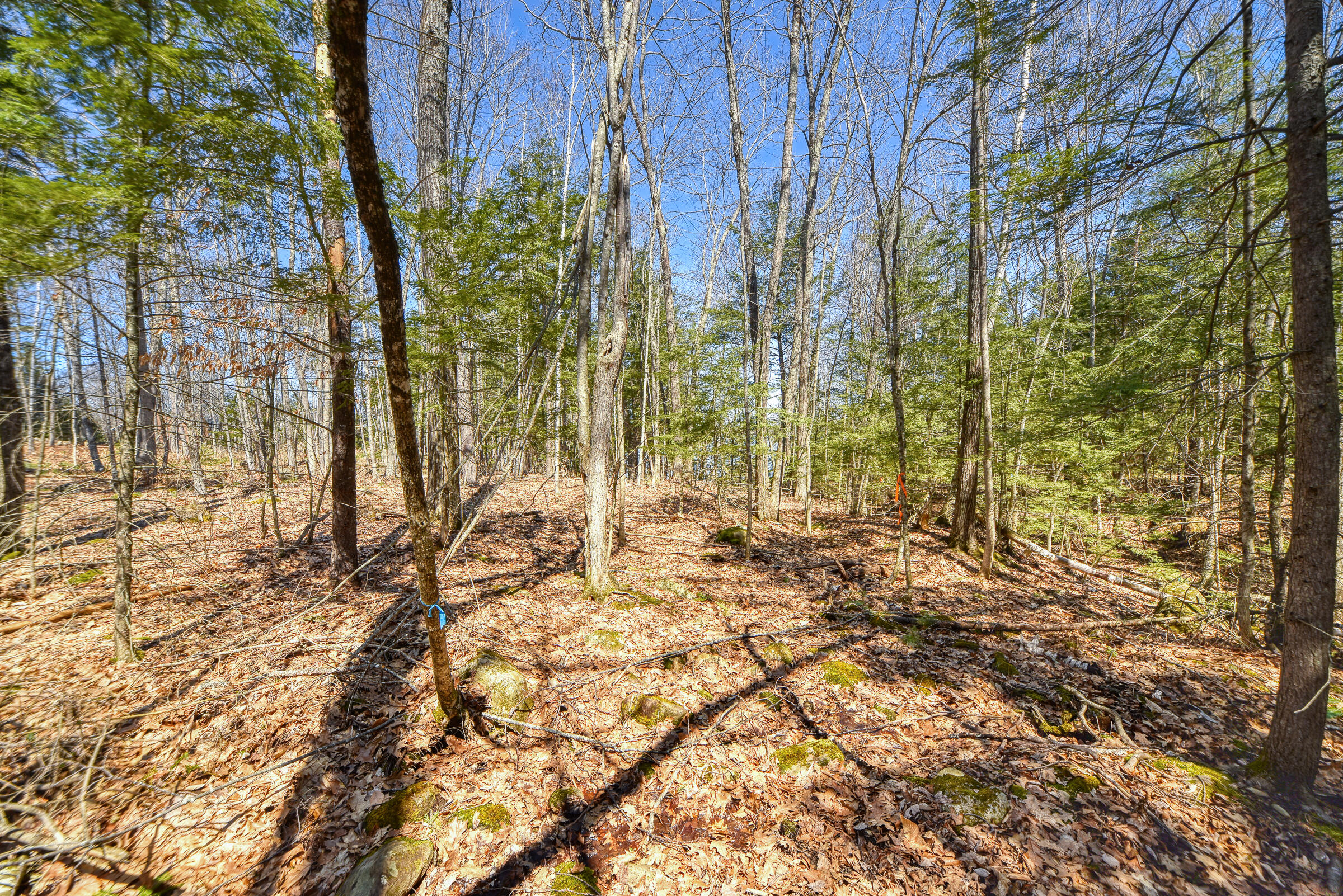 0 Route9-126 Road Litchfield ME 04350