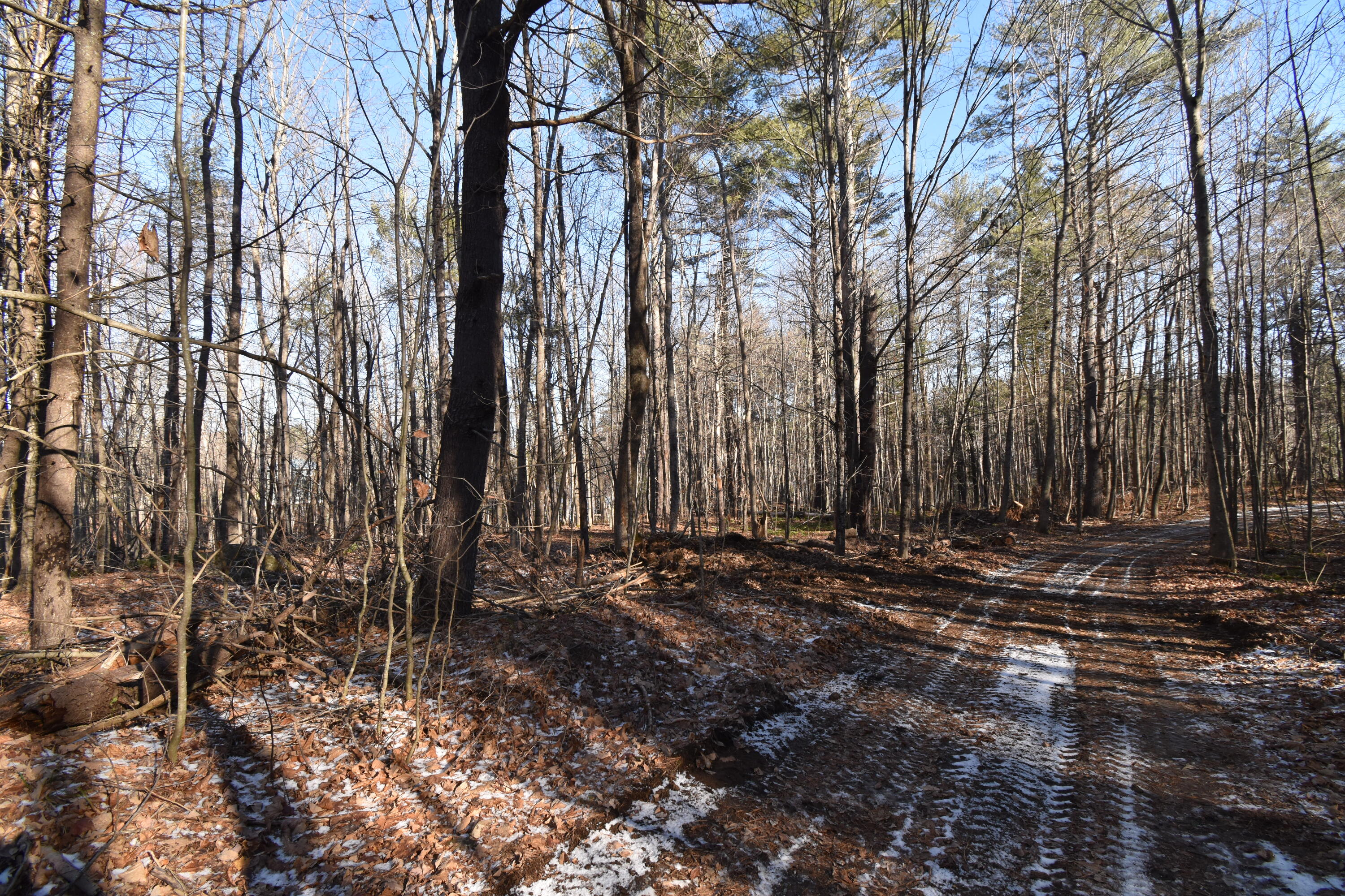 0 Route9-126 Road Litchfield ME 04350