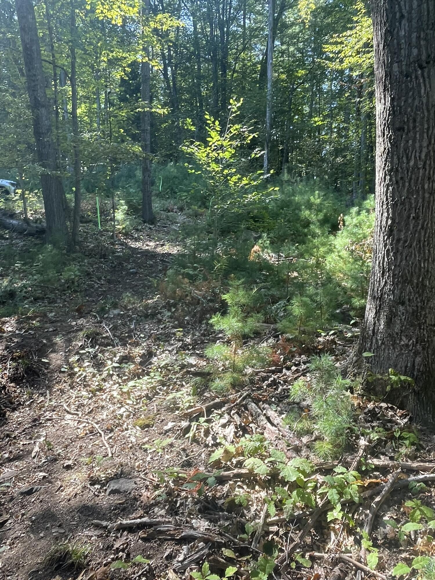 0 Route9-126 Road Litchfield ME 04350