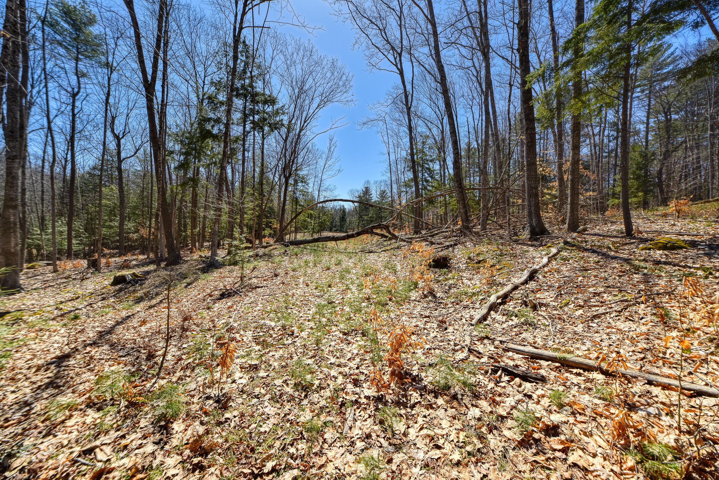 0 Route9-126 Road Litchfield ME 04350