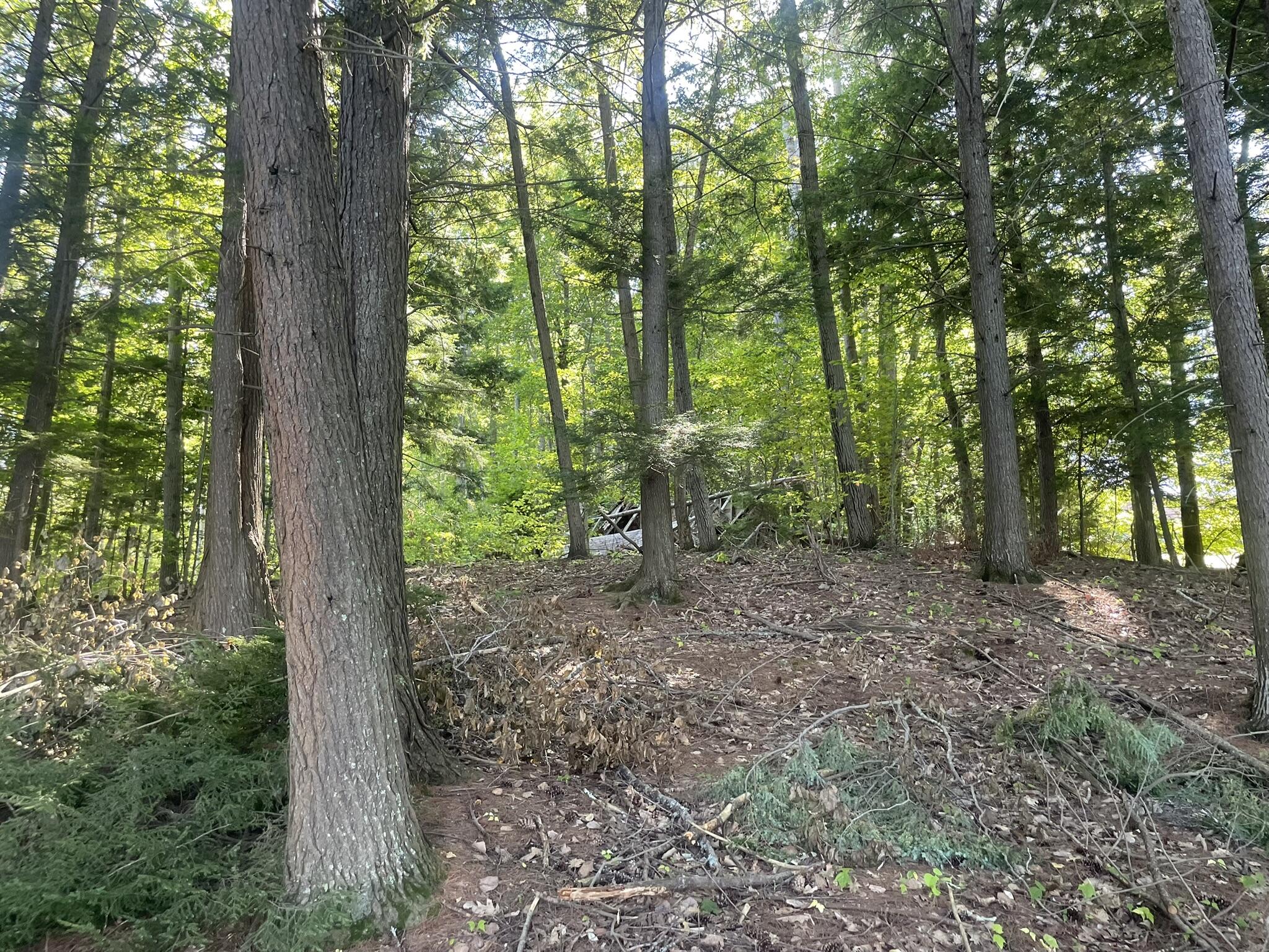 0 Route9-126 Road Litchfield ME 04350