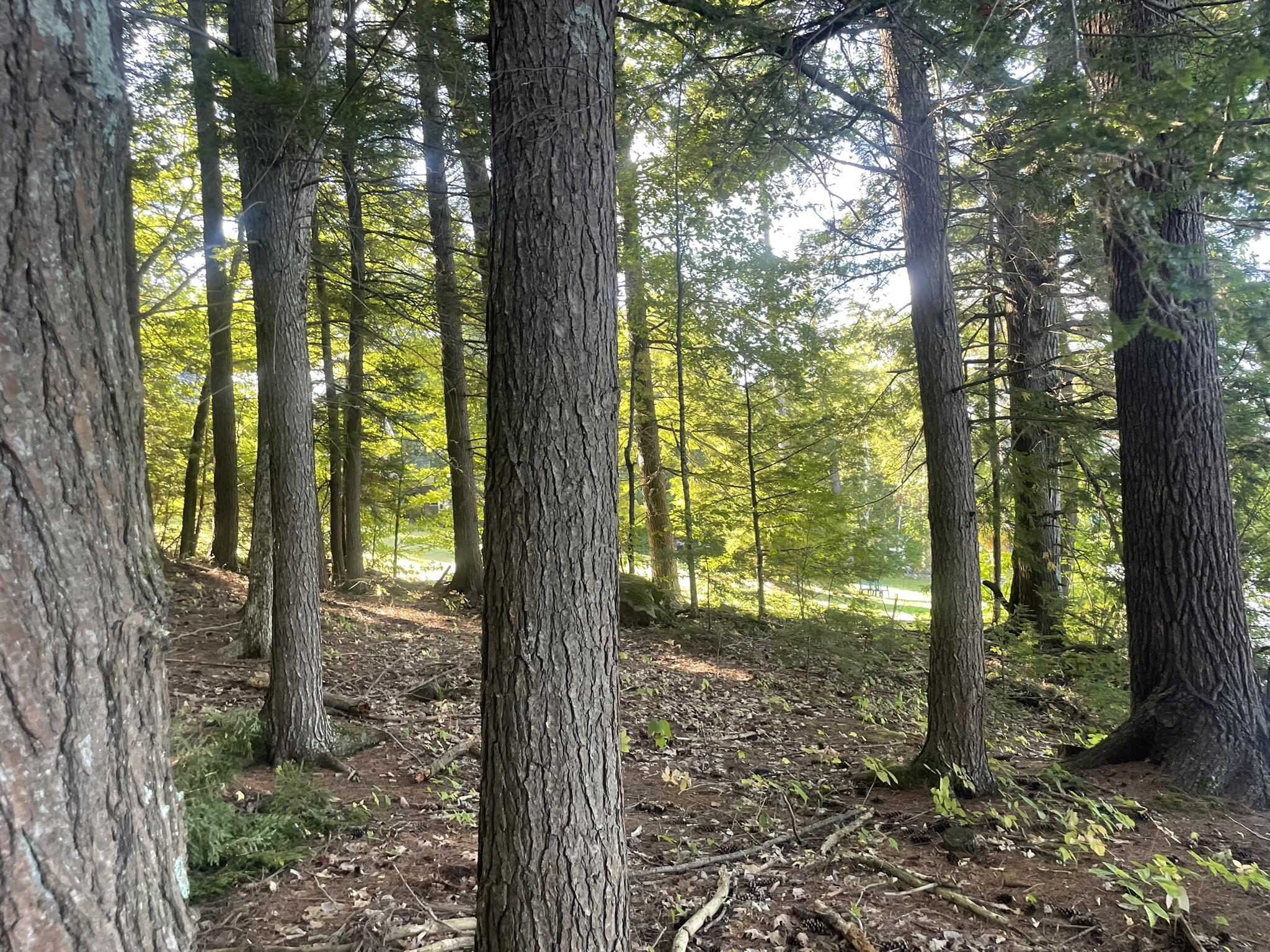 0 Route9-126 Road Litchfield ME 04350