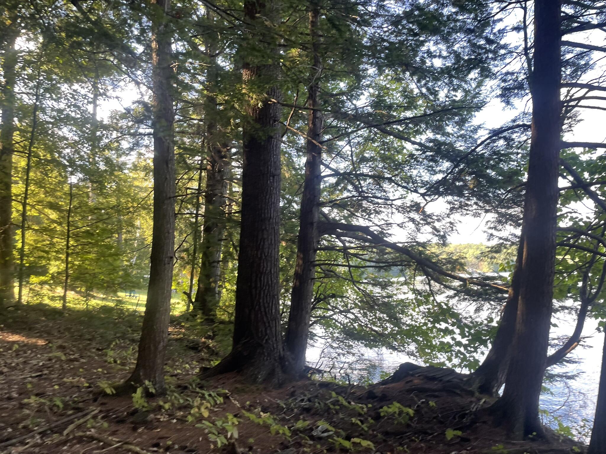 0 Route9-126 Road Litchfield ME 04350