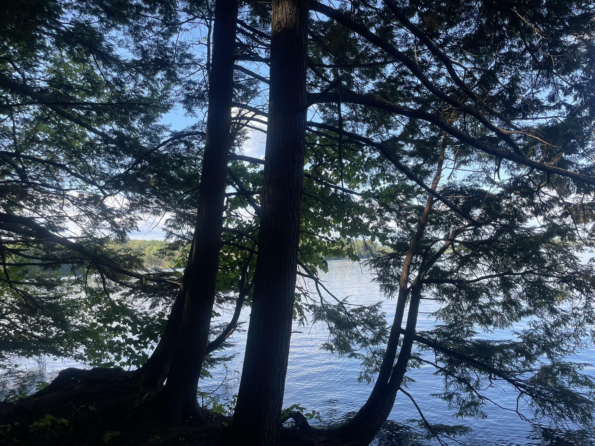 0 Route9-126 Road Litchfield ME 04350