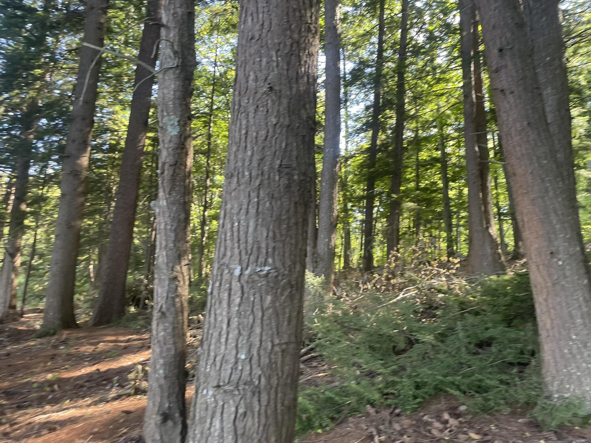 0 Route9-126 Road Litchfield ME 04350