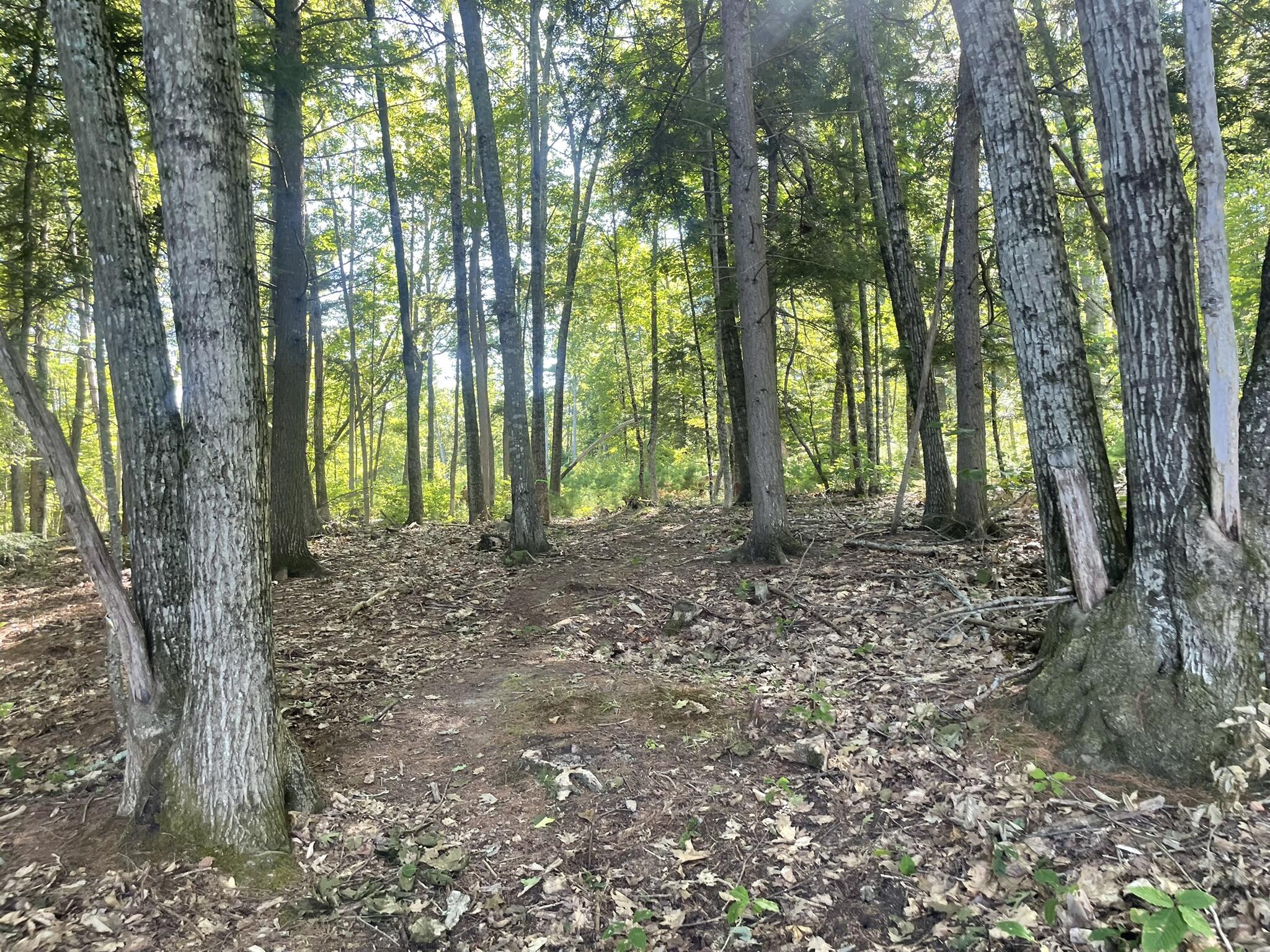 0 Route9-126 Road Litchfield ME 04350