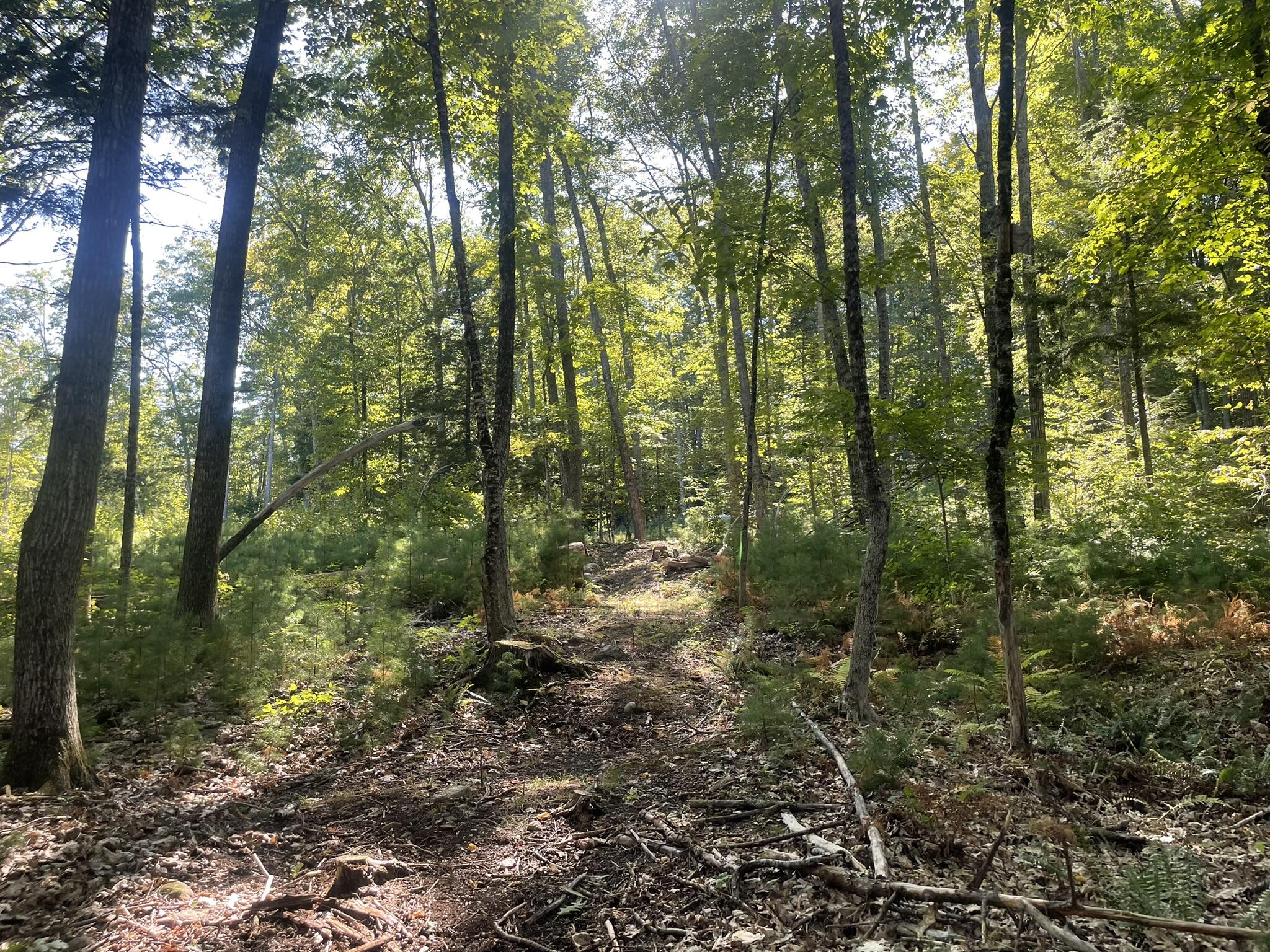 0 Route9-126 Road Litchfield ME 04350