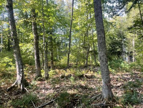 0 Route9-126 Road Litchfield ME 04350