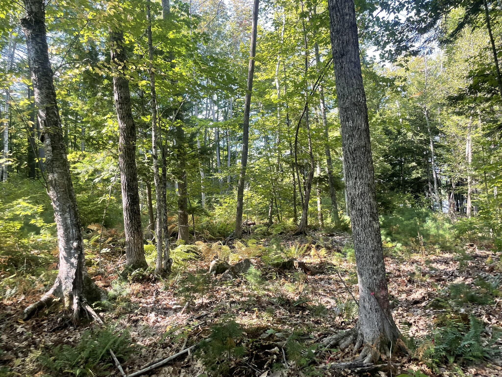 0 Route9-126 Road Litchfield ME 04350