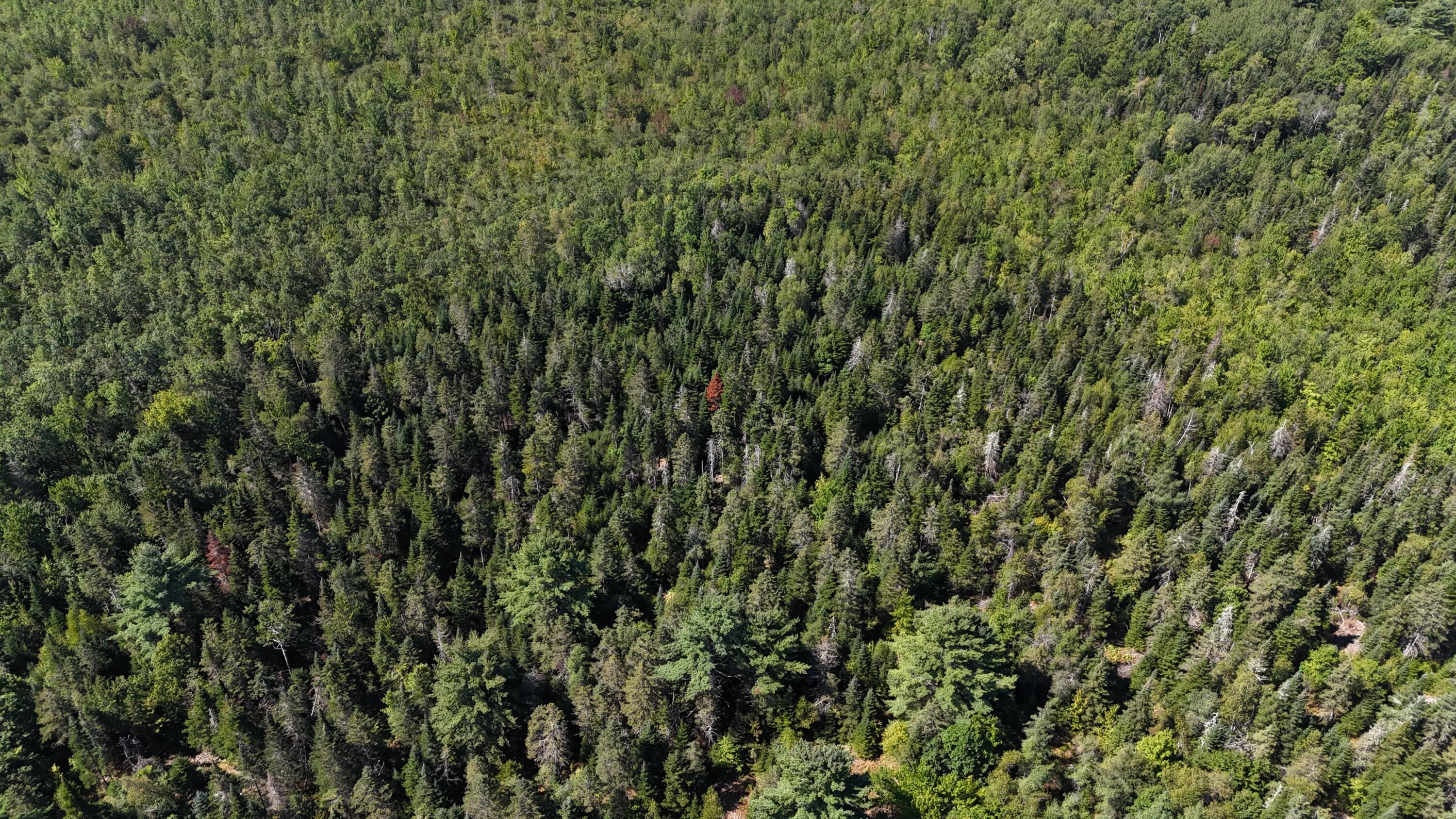 00 Cottrell Road Dixmont ME 04932