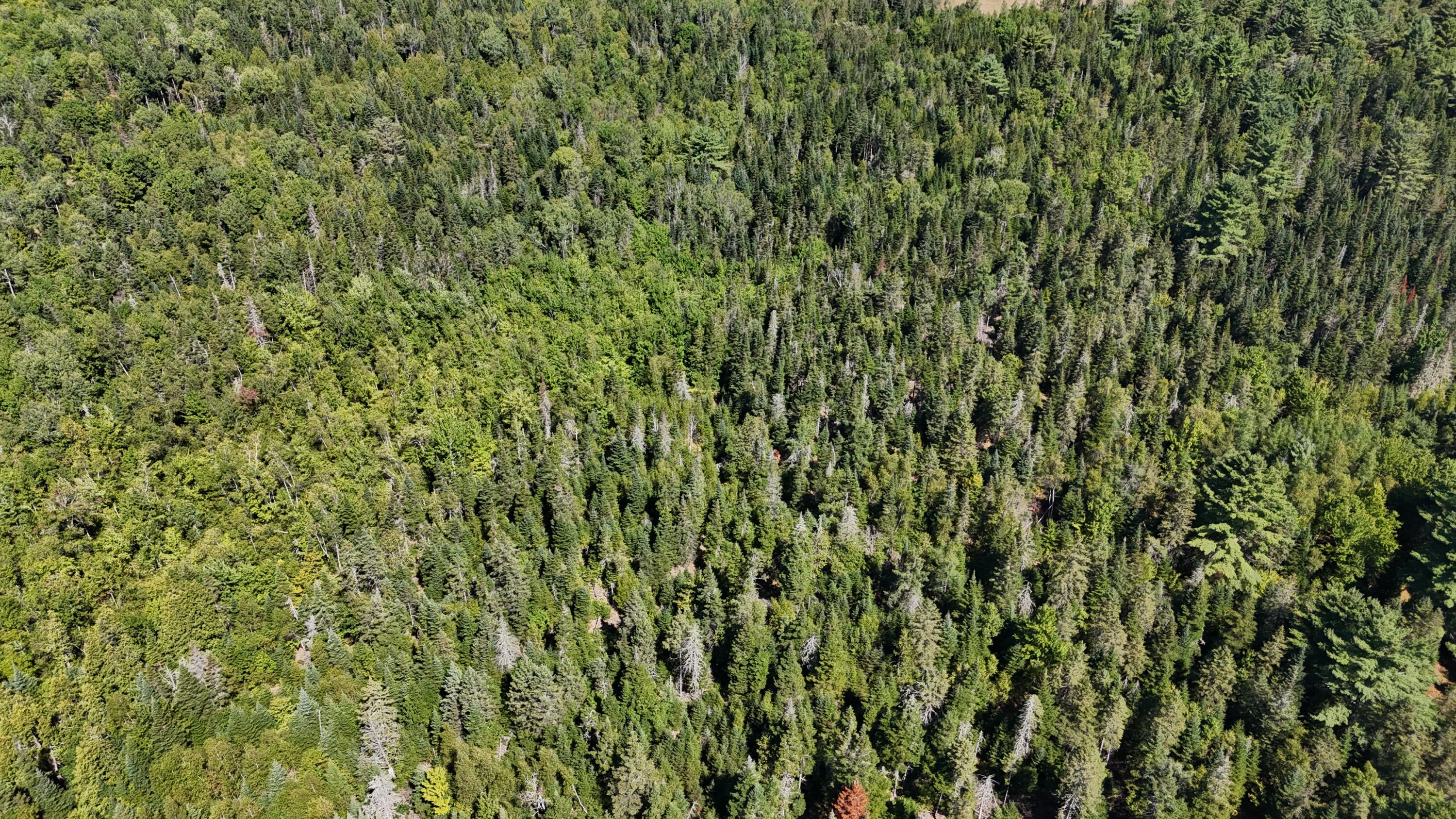 00 Cottrell Road Dixmont ME 04932