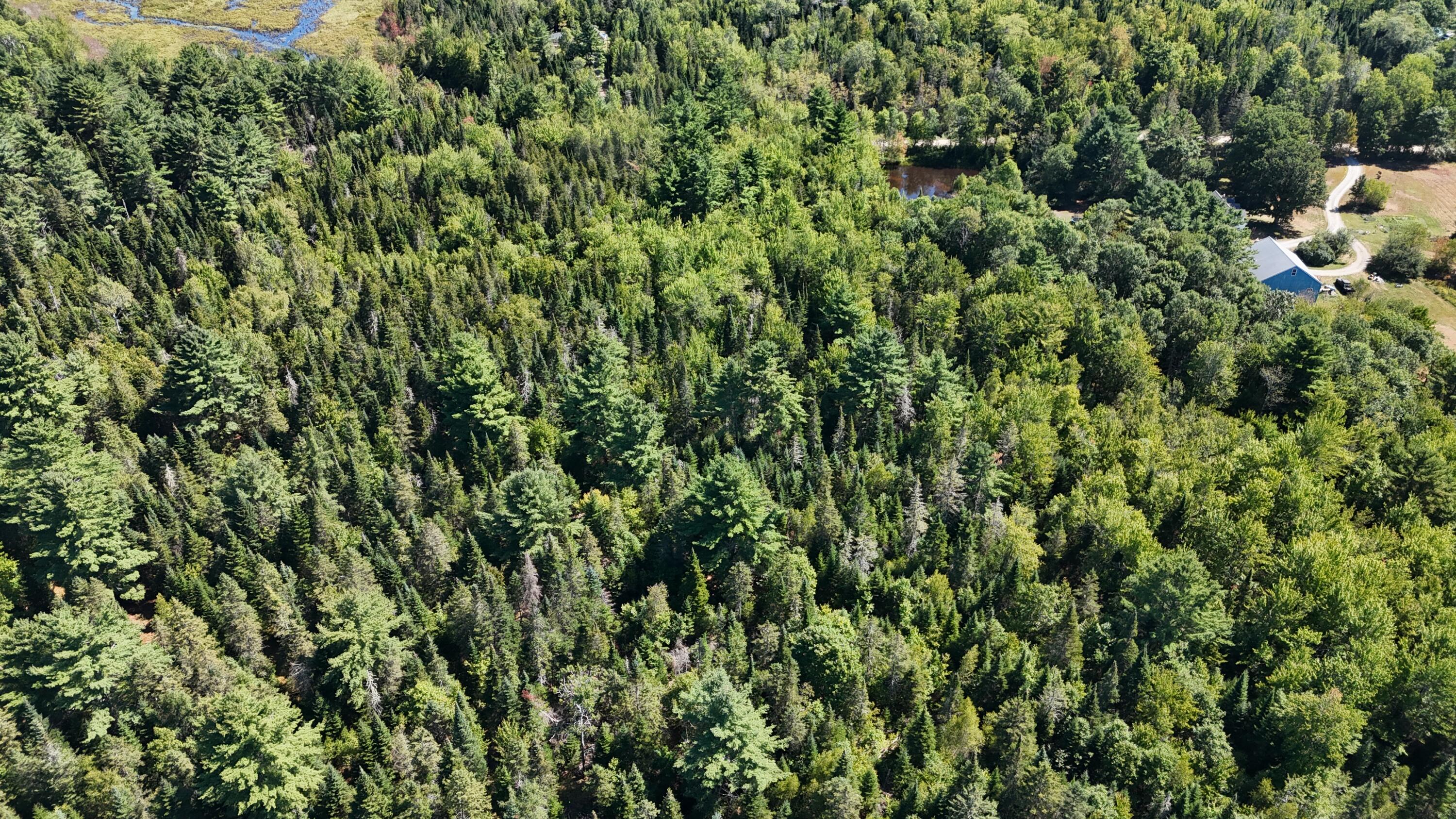 00 Cottrell Road Dixmont ME 04932