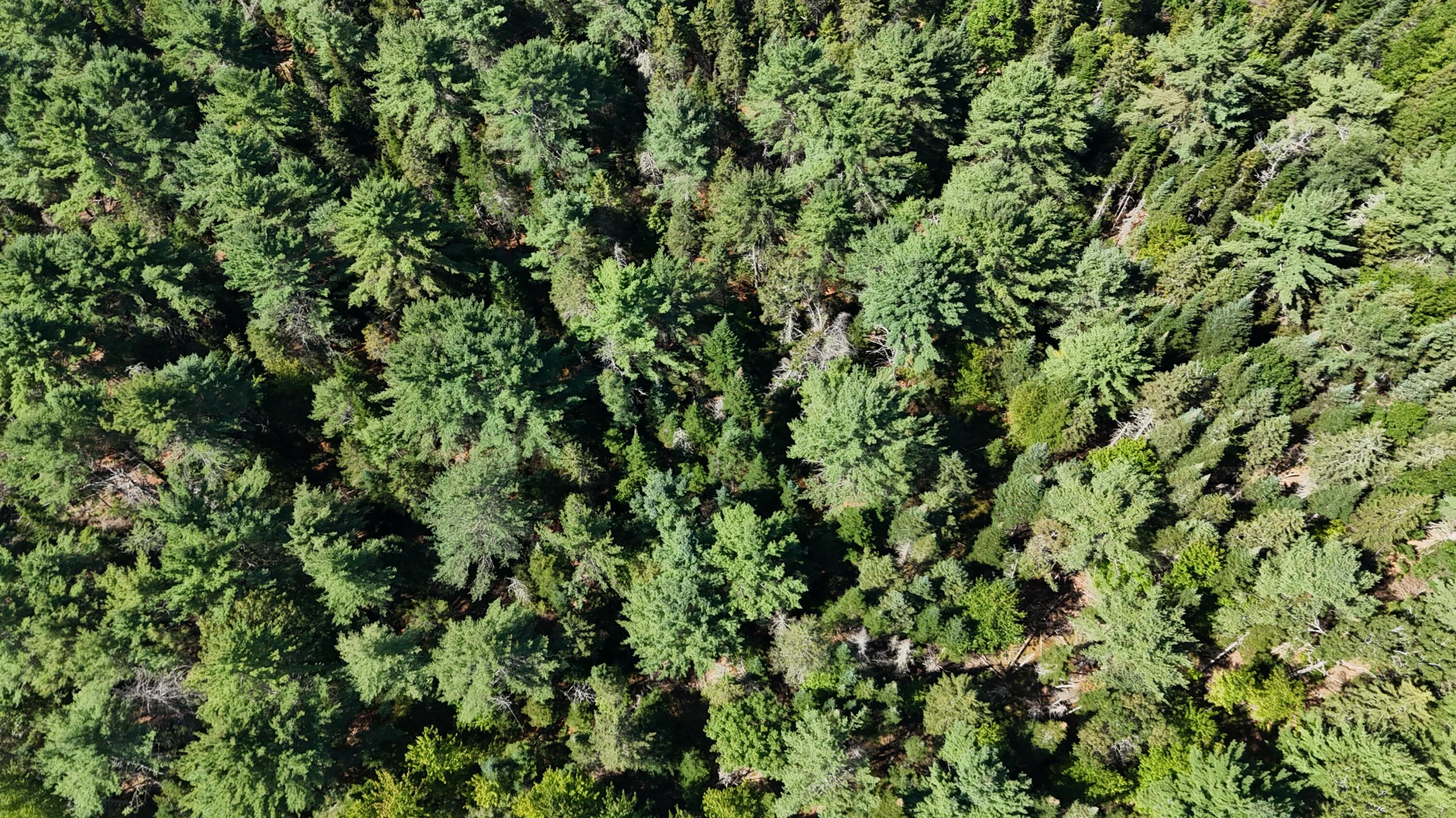 00 Cottrell Road Dixmont ME 04932