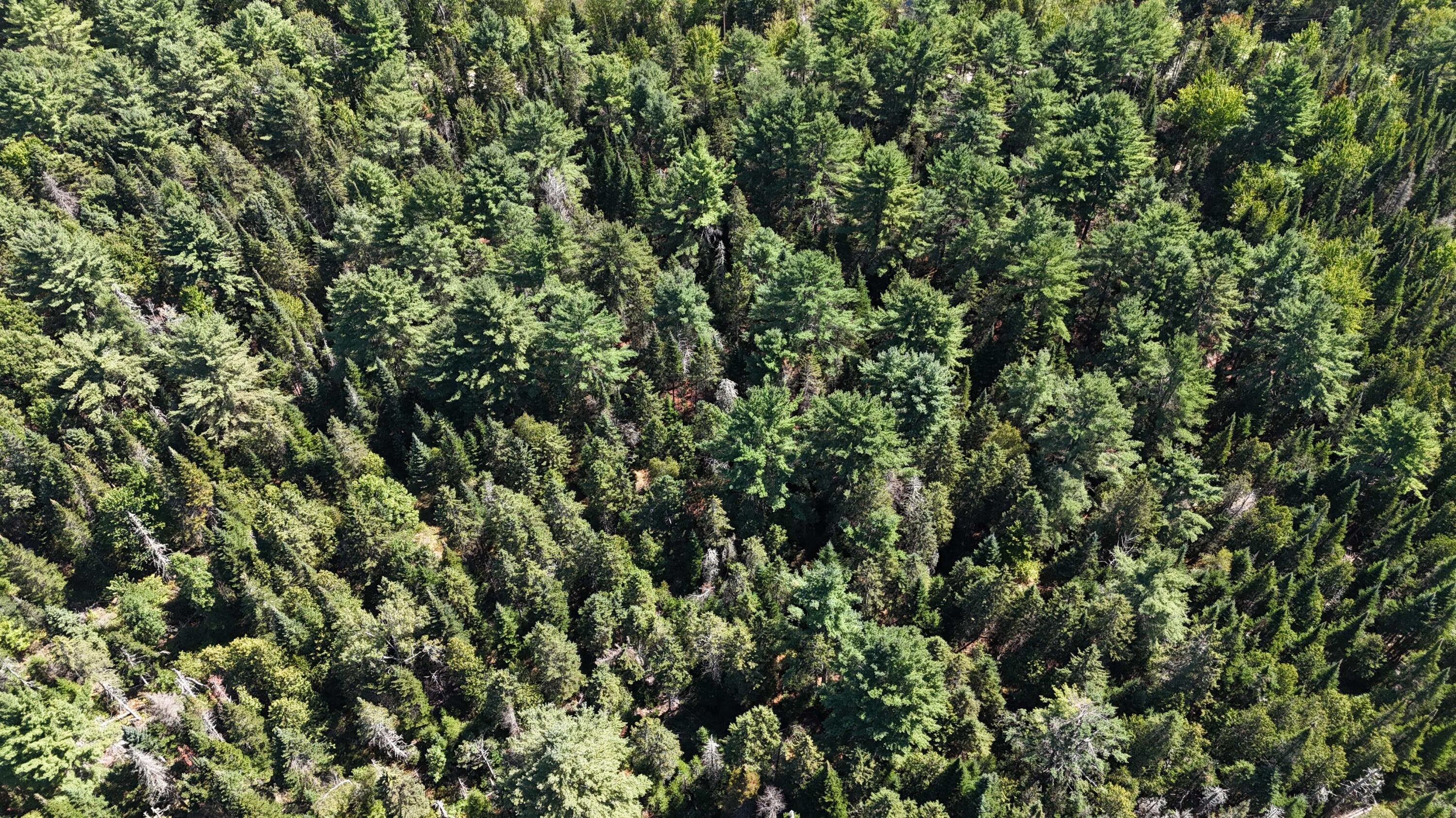 00 Cottrell Road Dixmont ME 04932