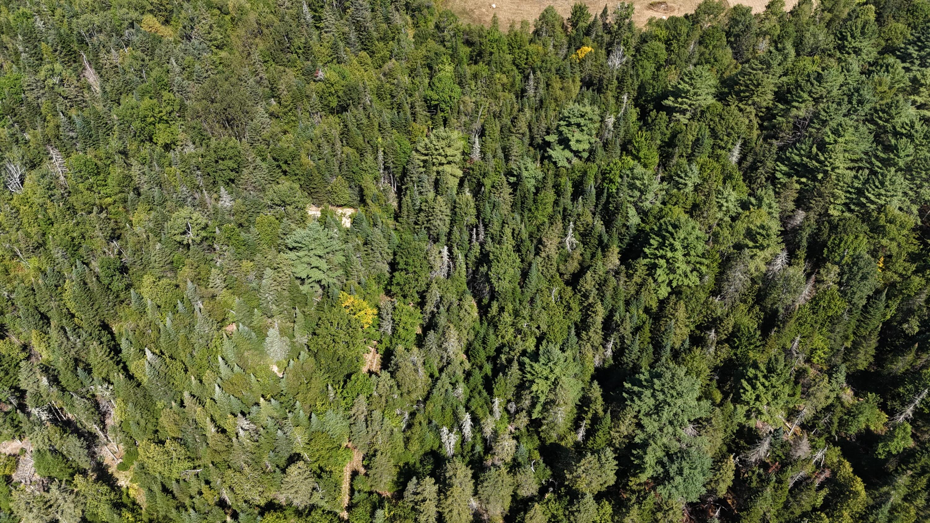 00 Cottrell Road Dixmont ME 04932