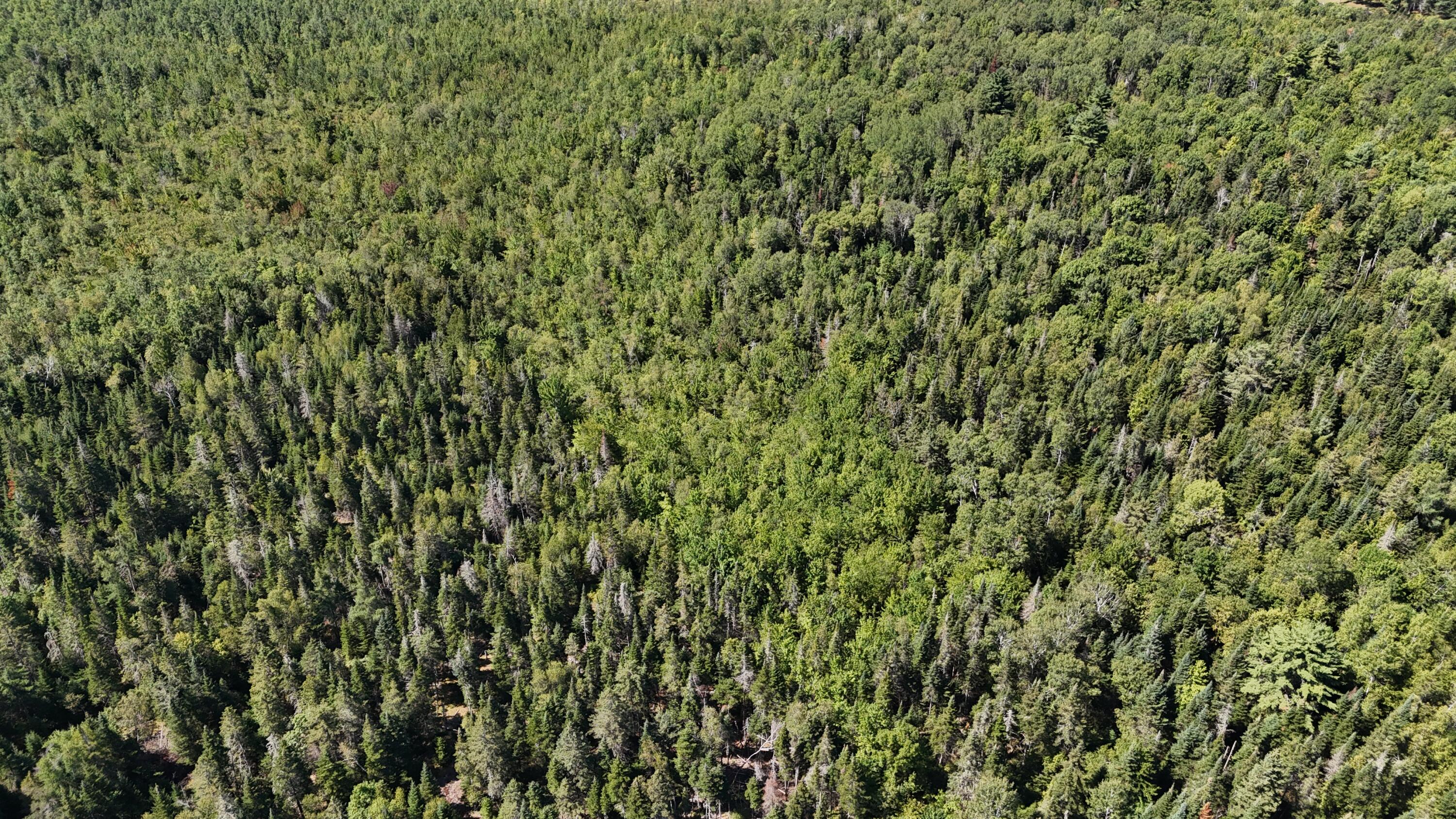 00 Cottrell Road Dixmont ME 04932