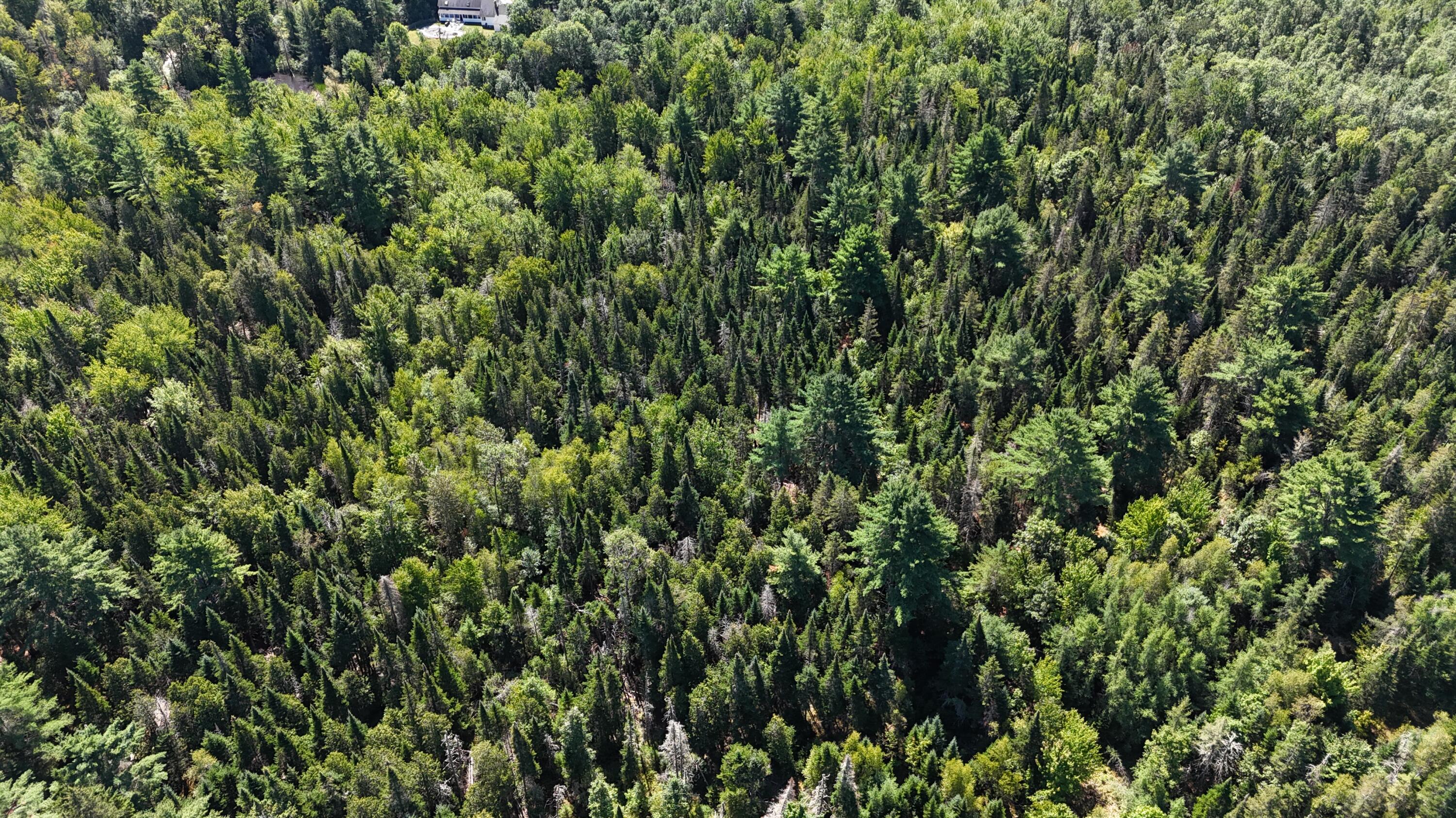 00 Cottrell Road Dixmont ME 04932